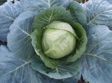 ��� ��������� �������� ������ ������ ������� ��� �������� ������