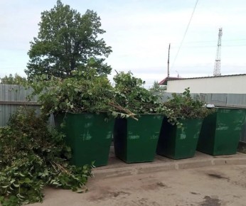 ������������ ������ ������ ��� ���������: ��������� � ��������� � ���