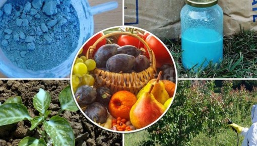 ������� �������� � ����� ����: ��� ��������� �������� �������� ��������