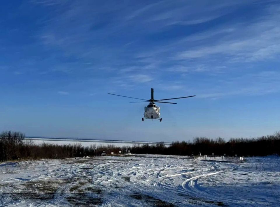 ���������� �������� "����������� ���������" � �������� ������� ������� ������ ����� ������������ "�����" �� �����������-��-�����