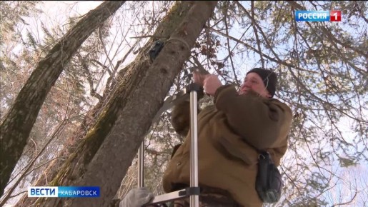 � ���� ������� ������ ����� �������� �������: ����� ������� ����� ������� �������� 1 ��� ������