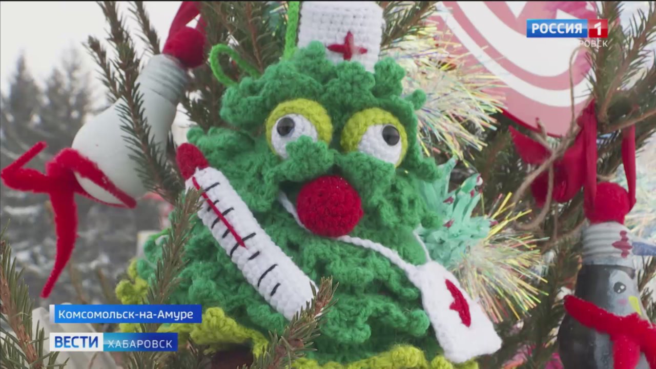 Лучшую вечнозелёную красавицу выбрали в Комсомольске на конкурсе «Ёлки-иголки»