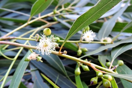 �������� ��������: ������� ��������� ����������� � �������� ��������