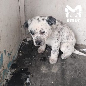 ���������� ���������, �� ��������� ������� ����� �������� �� ������� �������