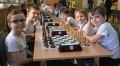 Стартует городской турнир «Юный шахматист» среди старших дошкольников Хабаровска