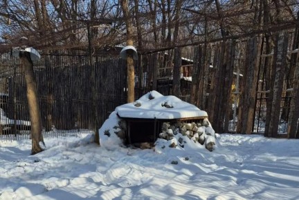 ������ ��� ������ ������� ������ �� ������� ������������