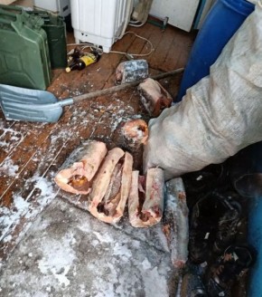 � ������������ ������ ���������� ������� ��������� �������������� � ���������� ������ ������������� ��� � ���������� �������� ���������