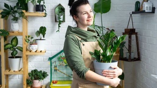 ��� ������ ������������ �� ���� ����� ������: ������ ��������� ��� 3 ������