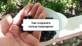 Секреты сохранения черной смородины: вкус и витамины на зиму