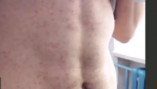 � ���������� ������ ������ �������� ����������� �������� �����