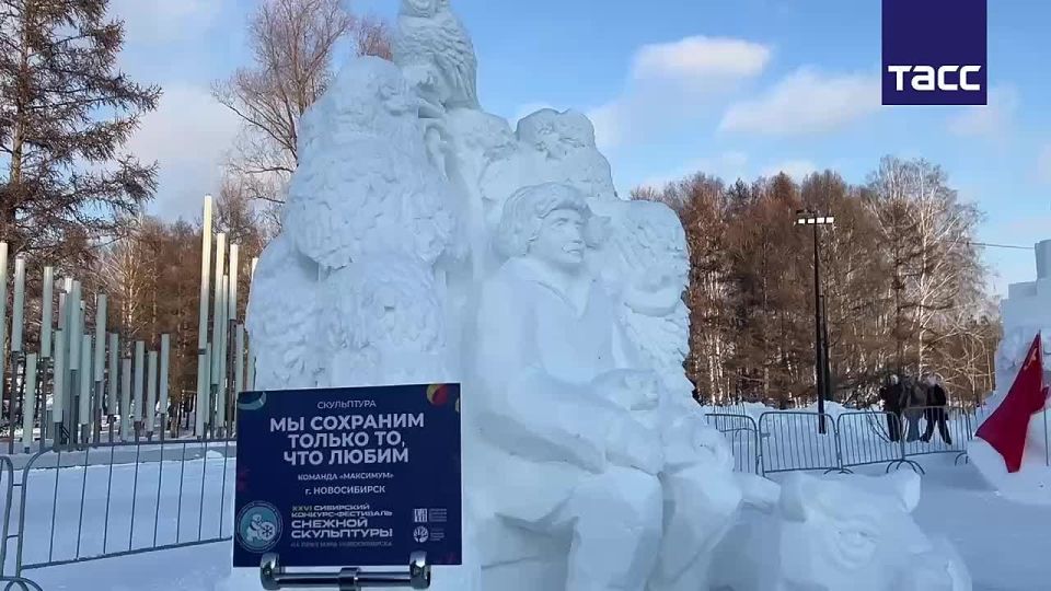 � ������������ ������ �������-��������� ������� ���������� �� ���� ���� ������