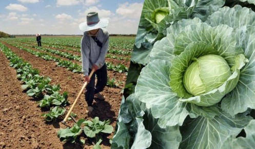 ���������� �������� �������: ����� � ��� �������� ������