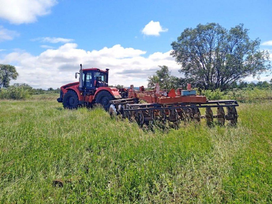 Новые земли, технику и гранты получили фермеры при поддержке Краевого сельскохозяйственного фонда в 2025 году