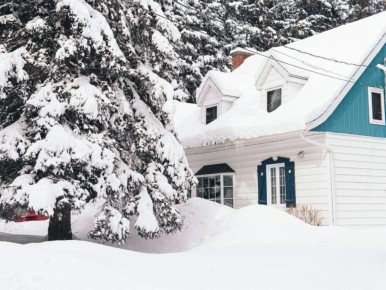 ���� � ��� ������� �� ������ �������: ��� ������������� ��������