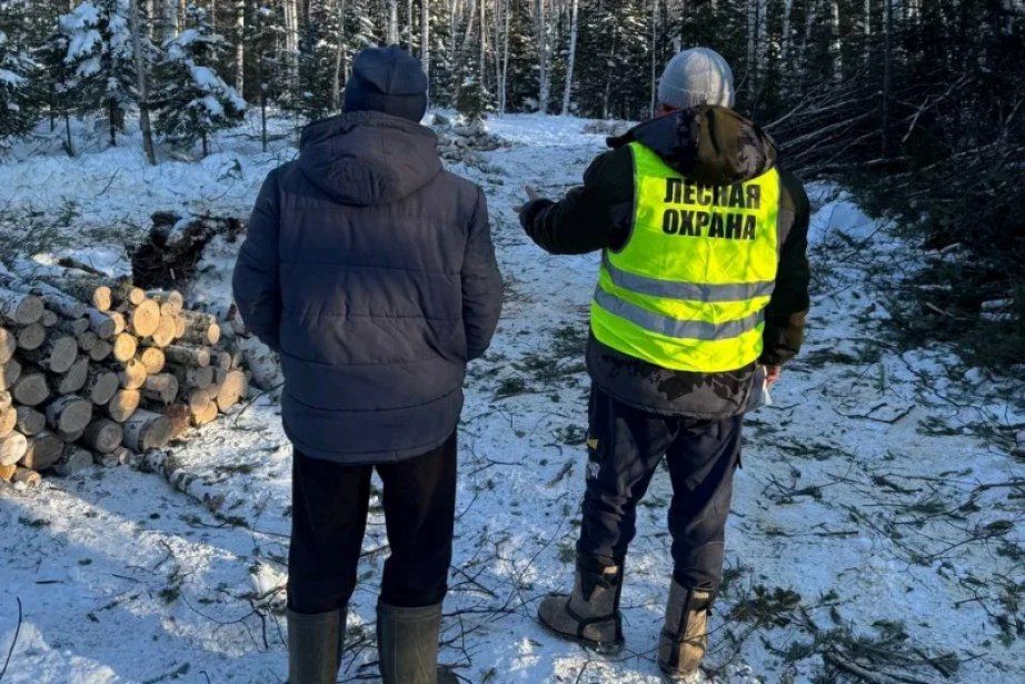 ����� �������� ������� ������� � ����������� ����