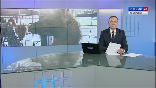 ���������� ��� ����: � ������� ������������ �������� ����� ����������� �� ��� ����� ����