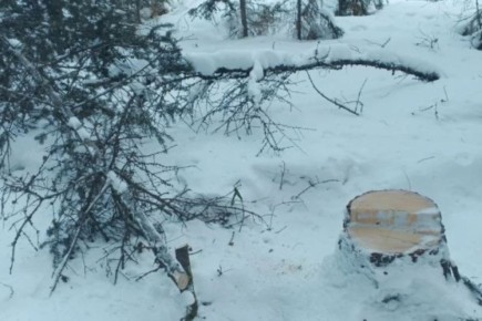 ����� ���������� ������� ���������� �������� ������� ������������ ����