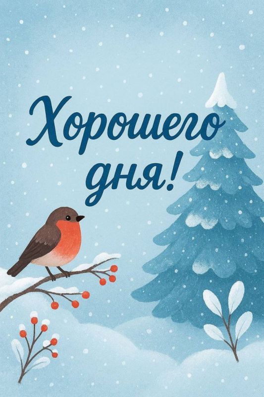 ������ ����, ���������!. 15 ������ �������� ���������� �� -28 �� -20� ���� � �� -28 �� -25 �����