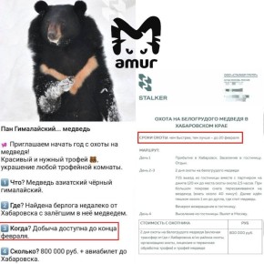 ����� �� ����������� ����� � ������� ��� ����������� � ����� ���� ������� ���������� �����