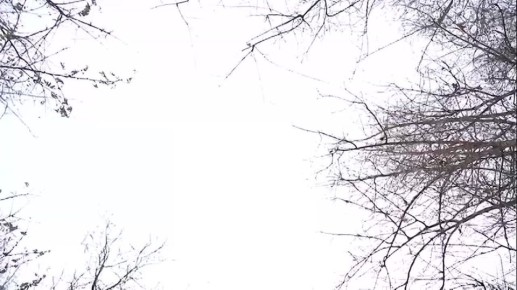 � ���������� ������ �� 1�2 ������� �������� ������� �������� � ��� ������� � ���, ��� ������� ������� ������� ����� ��������