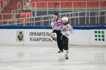 ���������� ����������� �����������: ������������, ������ ������ ����������� �����