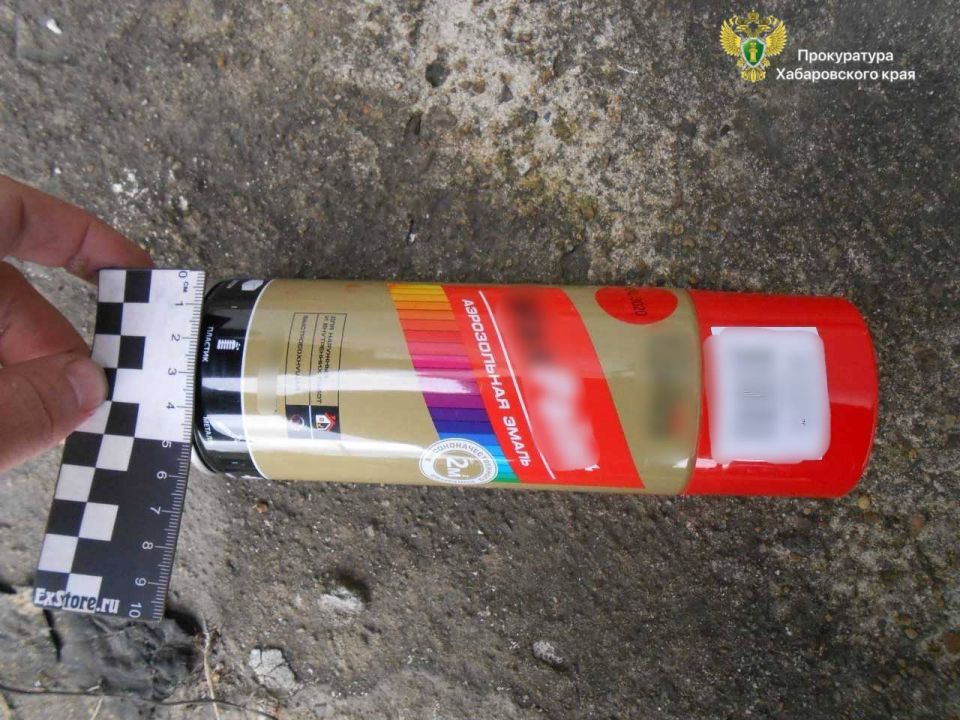 Перед судом предстанет житель г. Амурска за нанесение на социальные объекты рисунков с рекламой наркотиков