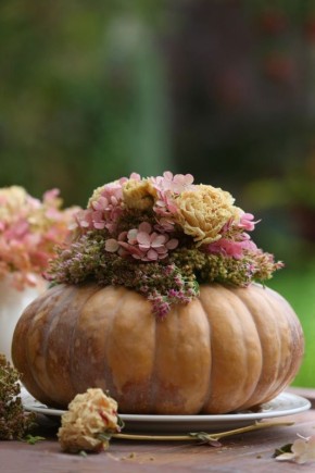 ����� ��� �������� �����������: ��� ������� ���� ��� ������ ������ ������