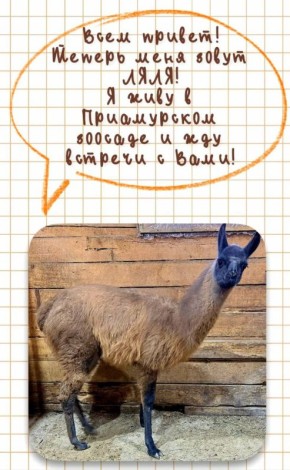 ���� �� ������� ������������ ������ ����� ����