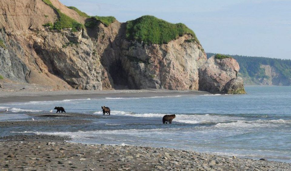 �������� ����� �������� ��������� ������