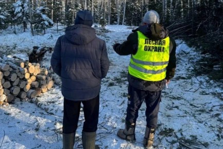 ����� �������� ������� ������� � ����������� ����