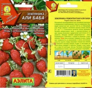 ������������ ��������: ������� ��������� �����