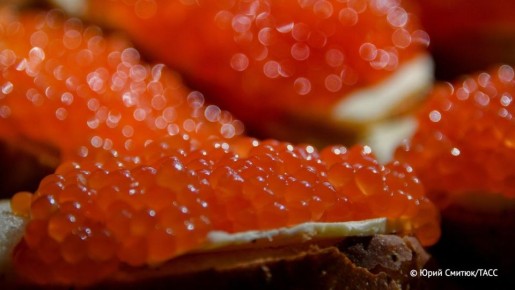 ���� �� ������������ ����, ������� ������� ������� ������, �������������� ��� ������� � ����� ������ ��� � 2026 ����