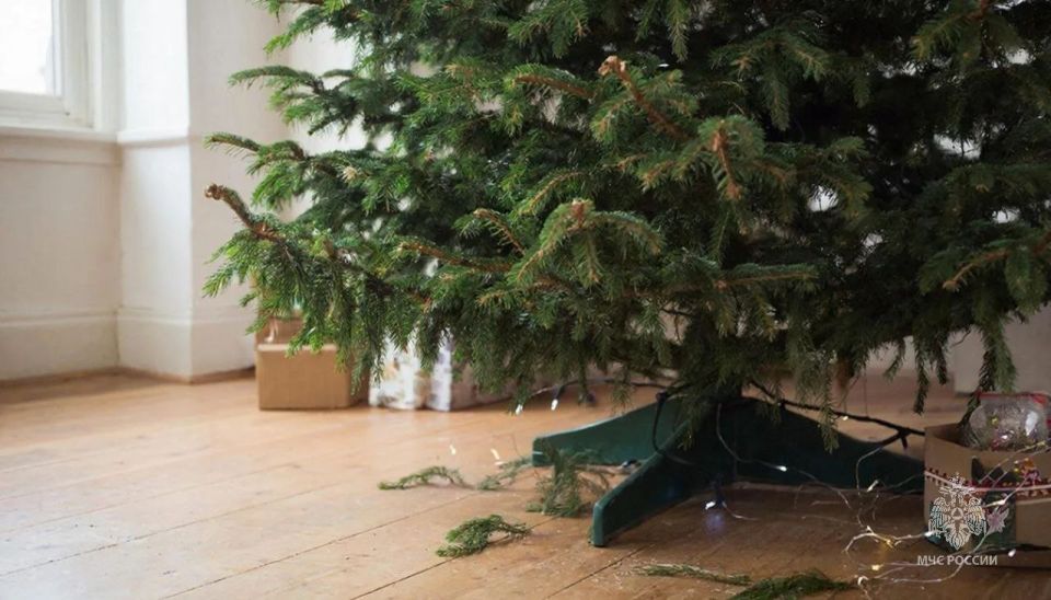 ���������� ���� ������� - ����� ��� �� ����!