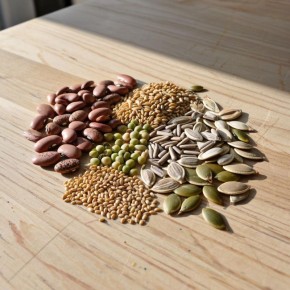 ������ ���� ������ ������ ����� ������������: �������� ������ ���������