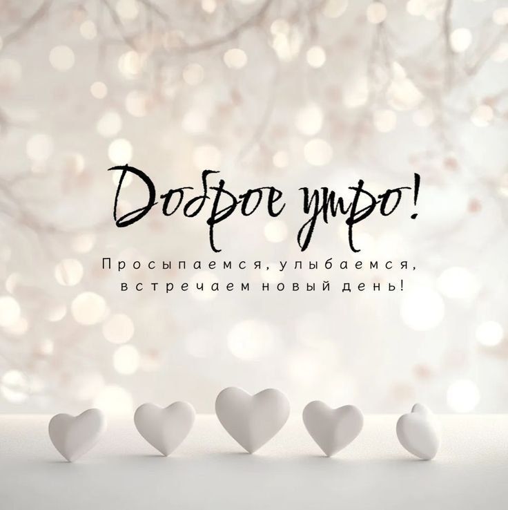 ������ ����, ���������!. 19 ������