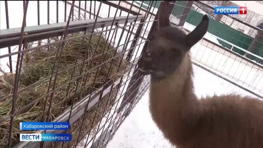 ����������� ������� ��� ��� ����, ����� ���������� ������� ������������