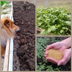 ��� ����������� ������� � ����: �������� ��� ����� �������� ������