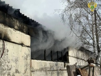 � ���������� ����������� ������������ ������������ ������������� ������ � ��������������