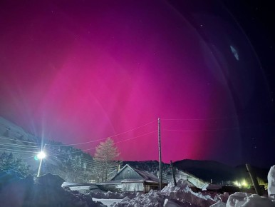 ������ � ����������� ���� �������: ���������