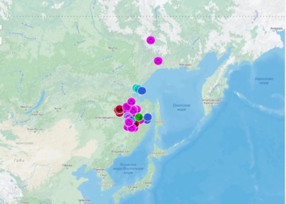 ����������� ���� � ������ ������� �������� �������� ������ � ����� �����������