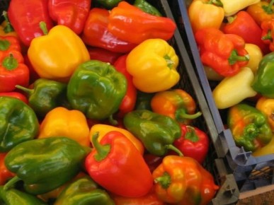 Как создать ароматную приправу самостоятельно, не тратя ни копейки