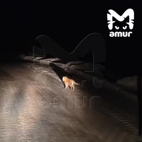 ������� ������� �� ����� ���������� ������ � ����������� ����