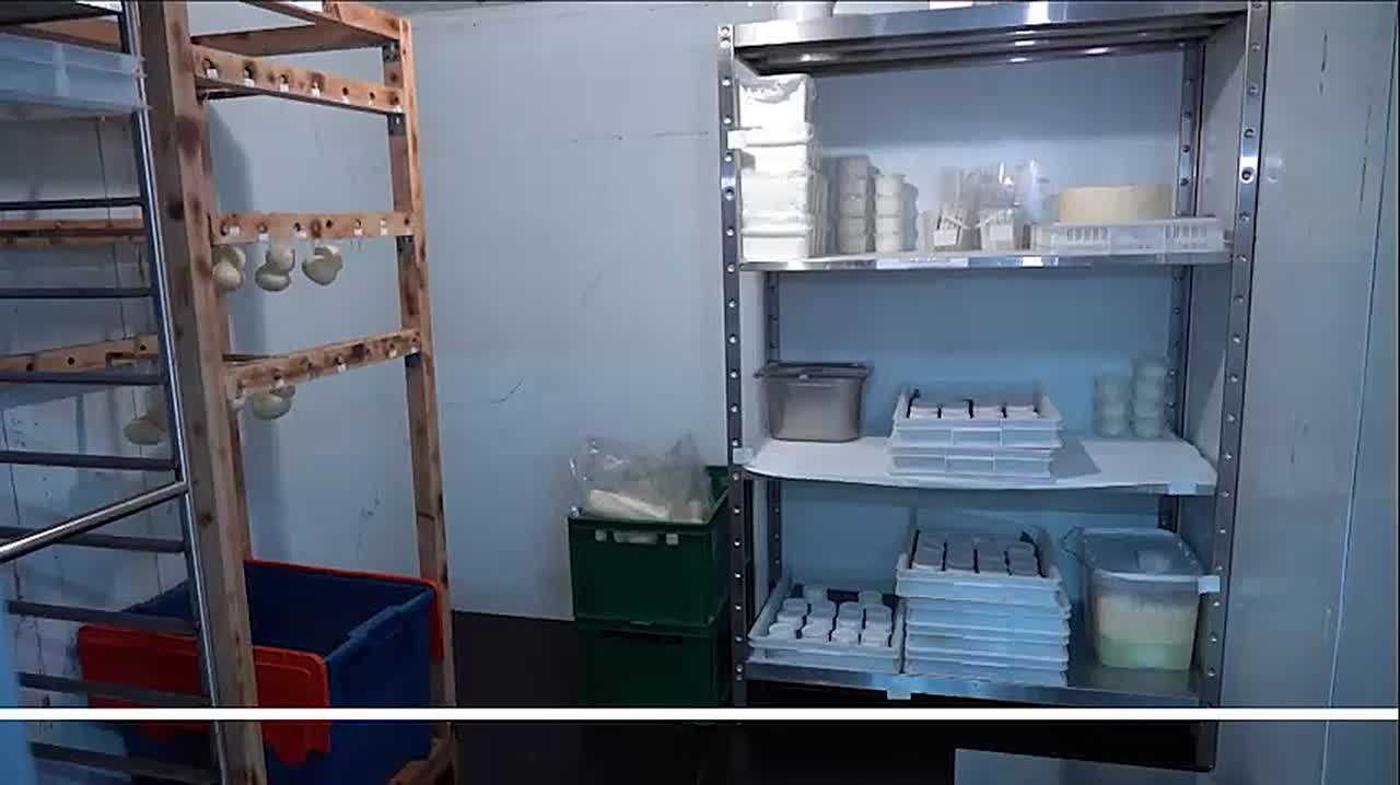 Страчателла и моццарелла, гауда и дор блю: в Хабаровском крае производят около 35 видов сыра