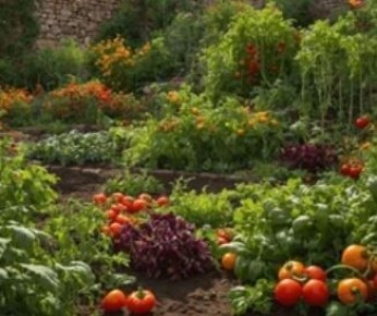 Как создать идеальную систему удобрений для вашего огорода