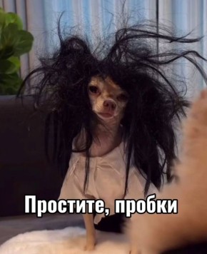 ��: *��������� �� 20 ������ �� �������� ���*