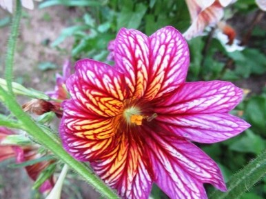 �������������: ��������� ������, ������� ����� ���������