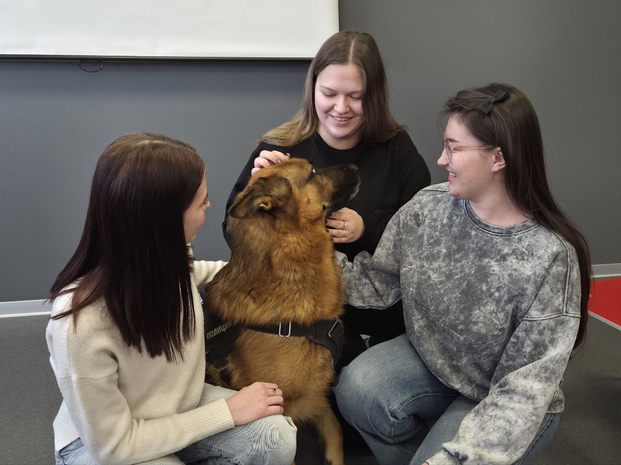Студенческий десант в Хабаровске: от борьбы с мошенничеством до знакомства с полицейской овчаркой Студенческий десант в Хабаровске: от борьбы с мошенничеством до знакомства с полицейской овчаркой