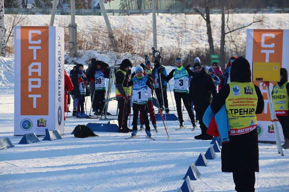 ������ �������: ��������� � ���������� ������� �������� �������