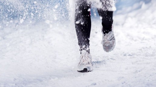 � ���������� ��������� ��������� ����������������� ������, ����������� ��� ������� ������������ ���������� �� ���������� �������