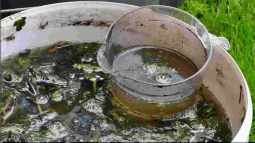 ������������� �����: ��� �� ��������� �� �������